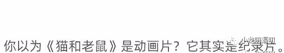 不是很懂猫这种生物