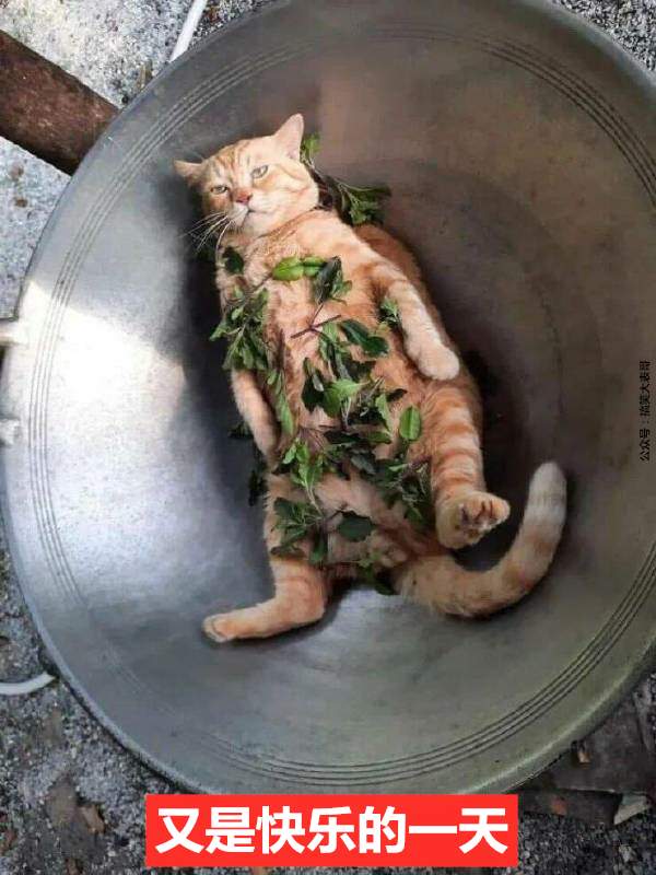 这又是什么骚操作？？现代新型理发方式？？