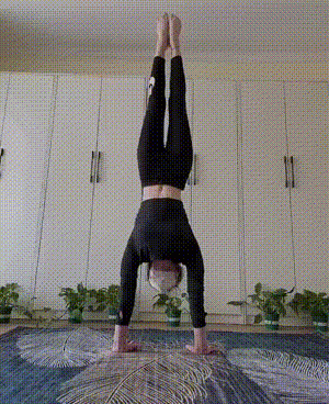 这是宏畊刘吧，太卷了