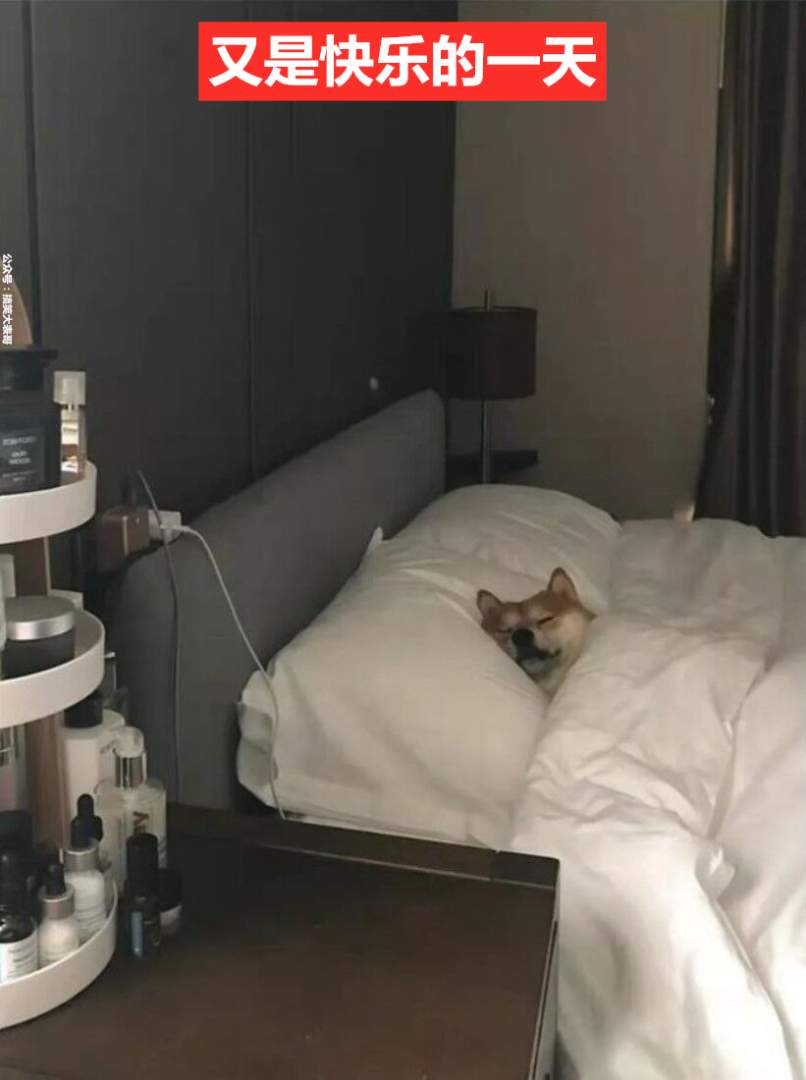 咳咳，你们知道“素炮”是什么吗？……