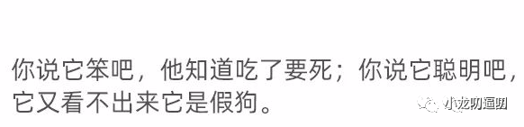狗子有多惜命